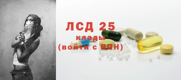 гашик Алзамай