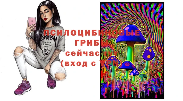 дживик Алексин