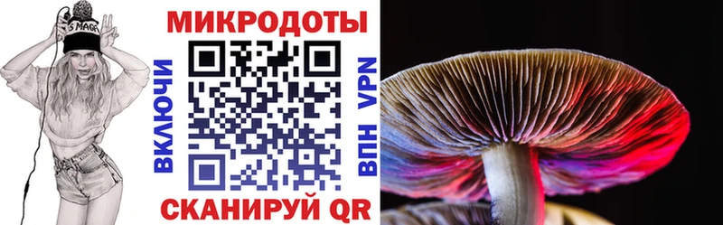 mega онион  Льгов  Псилоцибиновые грибы ЛСД 